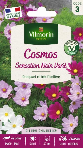 Fleurs - Cosmos Sensation Nain Varié - PACKAGING_RECTO